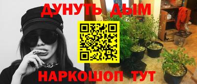 ALPHA PVP Аргун