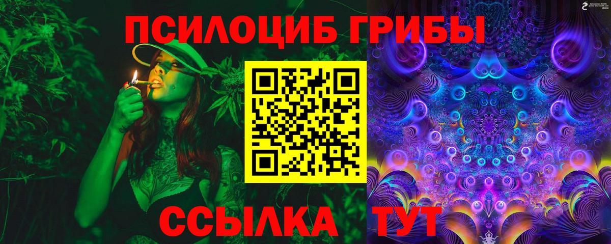 Псилоцибиновые грибы прущие грибы Владимир
