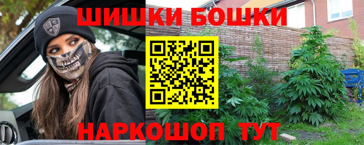 Бошки Шишки конопля Владимир